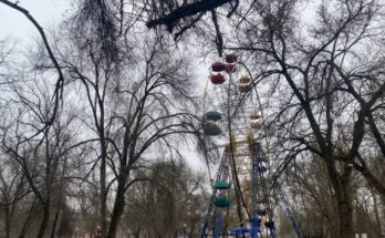 У Херсоні заявили про спил великої кількості дерев у “Херсонській фортеці”