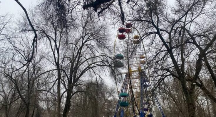 У Херсоні заявили про спил великої кількості дерев у “Херсонській фортеці”